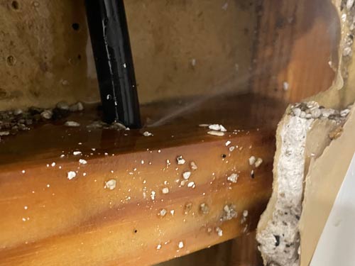 Leaking pipes can create a lot of damage